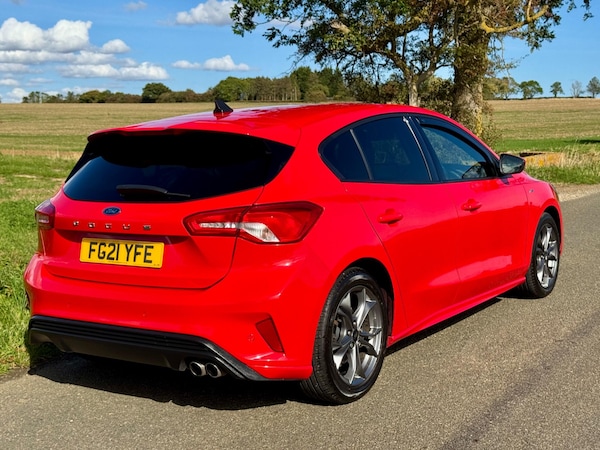 Used Ford Focus 2021 for sale - 76317891: Photo 10