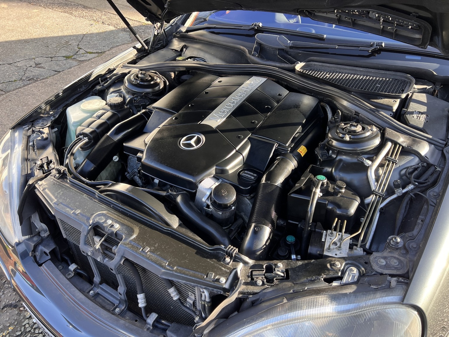 Used Mercedes-Benz S Class 2002 for sale - 77399998: Photo 15