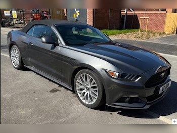 Used Ford Mustang 2017 for sale - 78273470: Photo