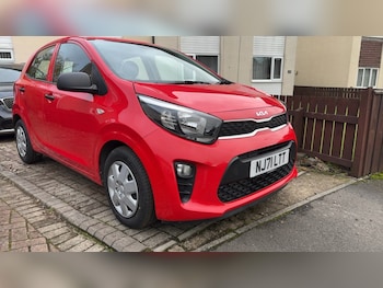 Used Kia Picanto 2021 for sale - 76546115: Photo