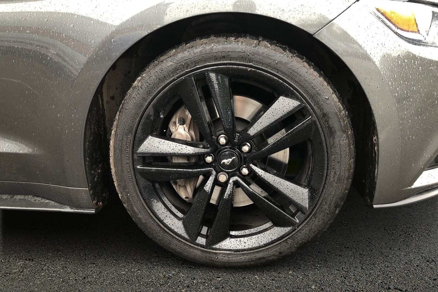 Used Ford Mustang 2016 for sale - 76495072: Photo 19