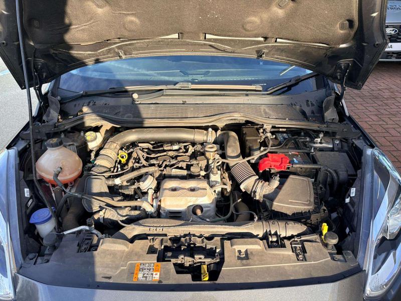 Used Ford Fiesta 2019 for sale - 76895520: Photo 15