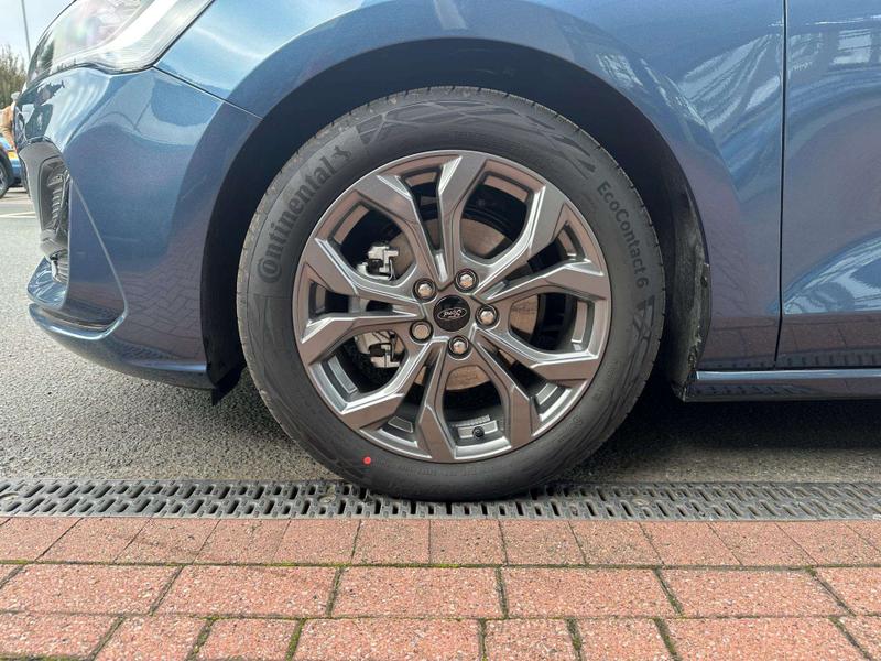 Used Ford Focus 2025 for sale - 77071544: Photo 11