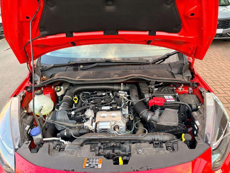 Used Ford Fiesta 2023 for sale - 76766942: Photo 31