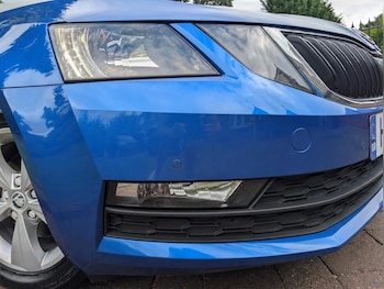 Used Skoda Octavia 2019 for sale - 79367255: Photo
