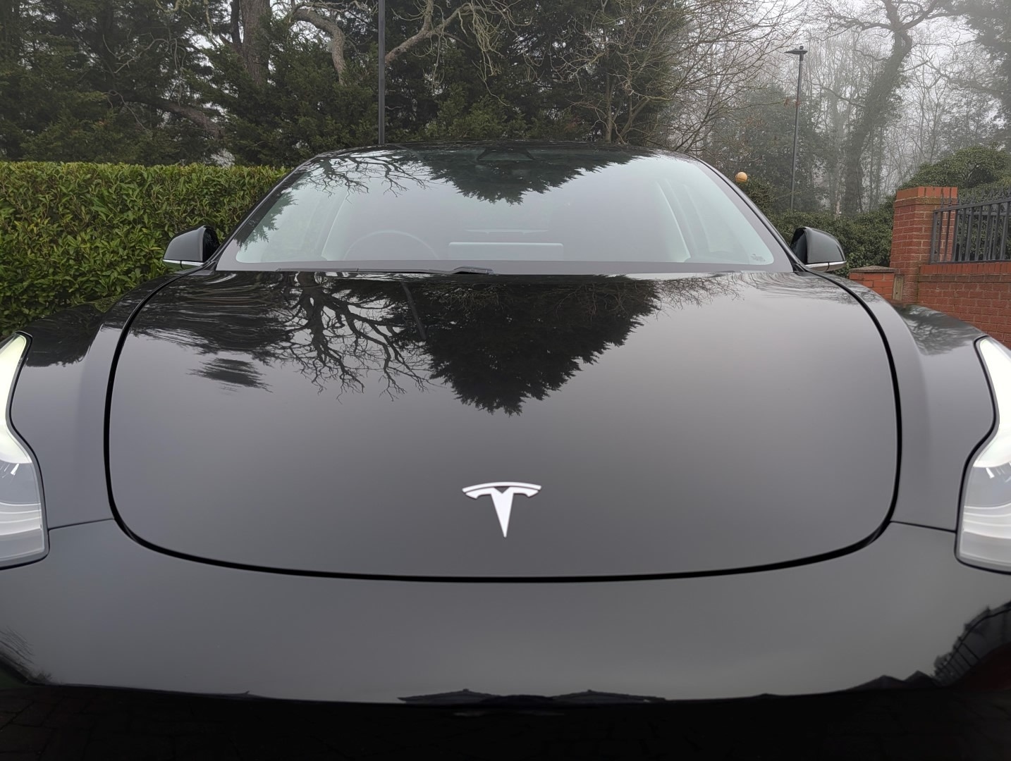 Used Tesla Model 3 2019 for sale - 77831159: Photo 35
