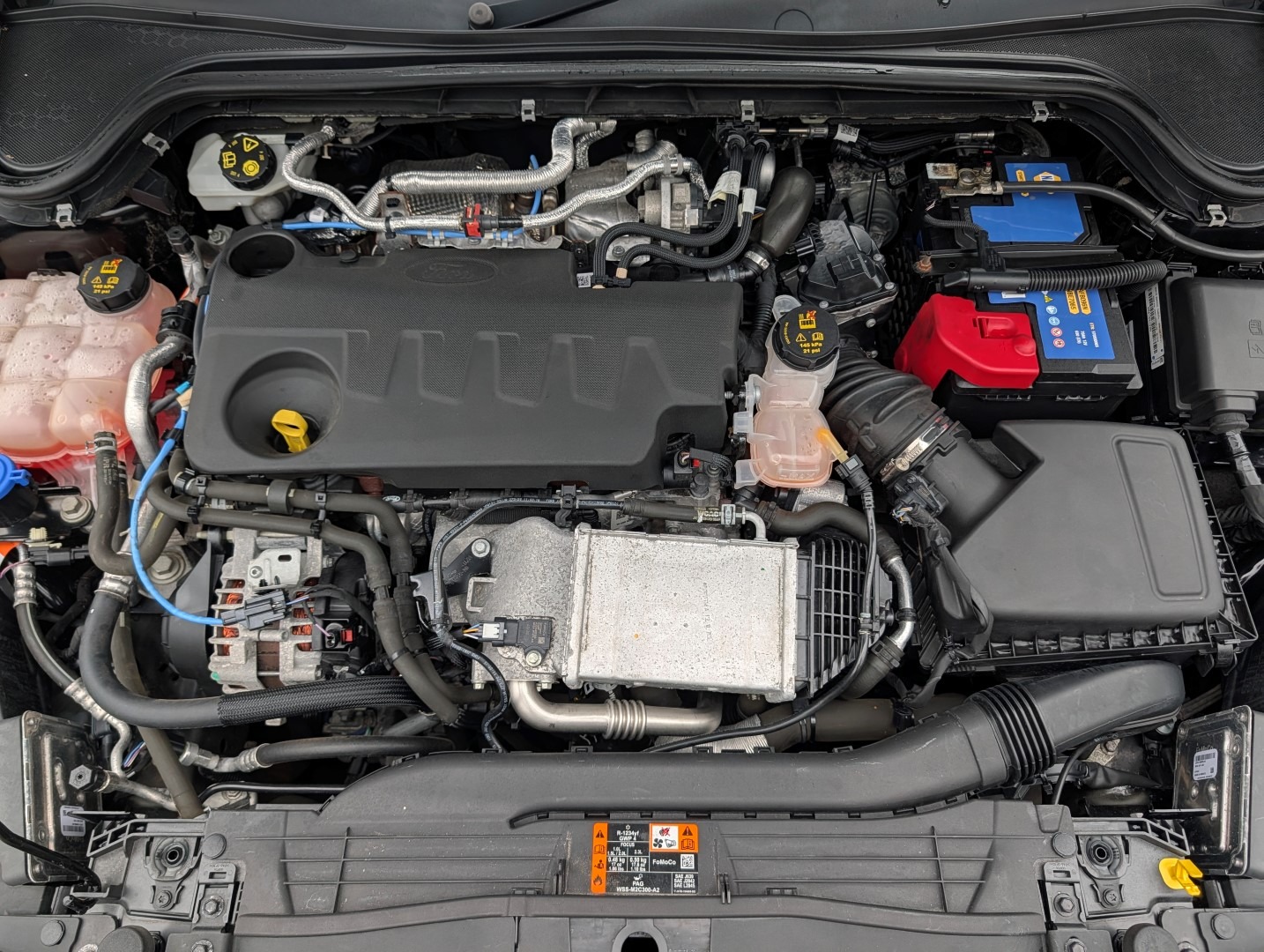 Used Ford Focus 2020 for sale - 77350208: Photo 33