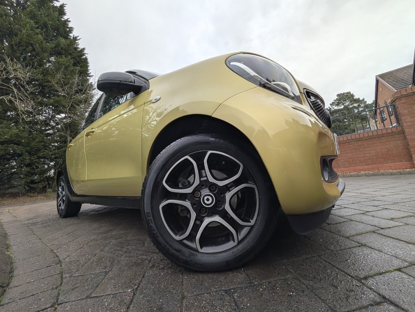 Used smart forfour 2015 for sale - 77669214: Photo 6