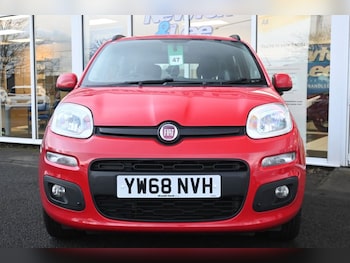 Used Fiat Panda 2019 for sale - 77153732: Photo