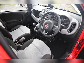Used Fiat Panda 2019 for sale - 77153732: Photo