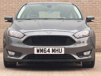 Used Ford Focus 2014 for sale - 79030377: Photo