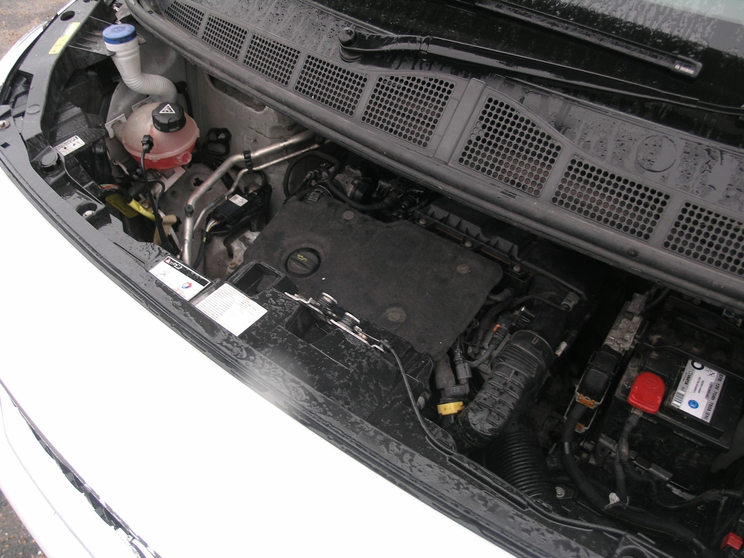 Used Peugeot Expert 2019 for sale - 77170612: Photo 19