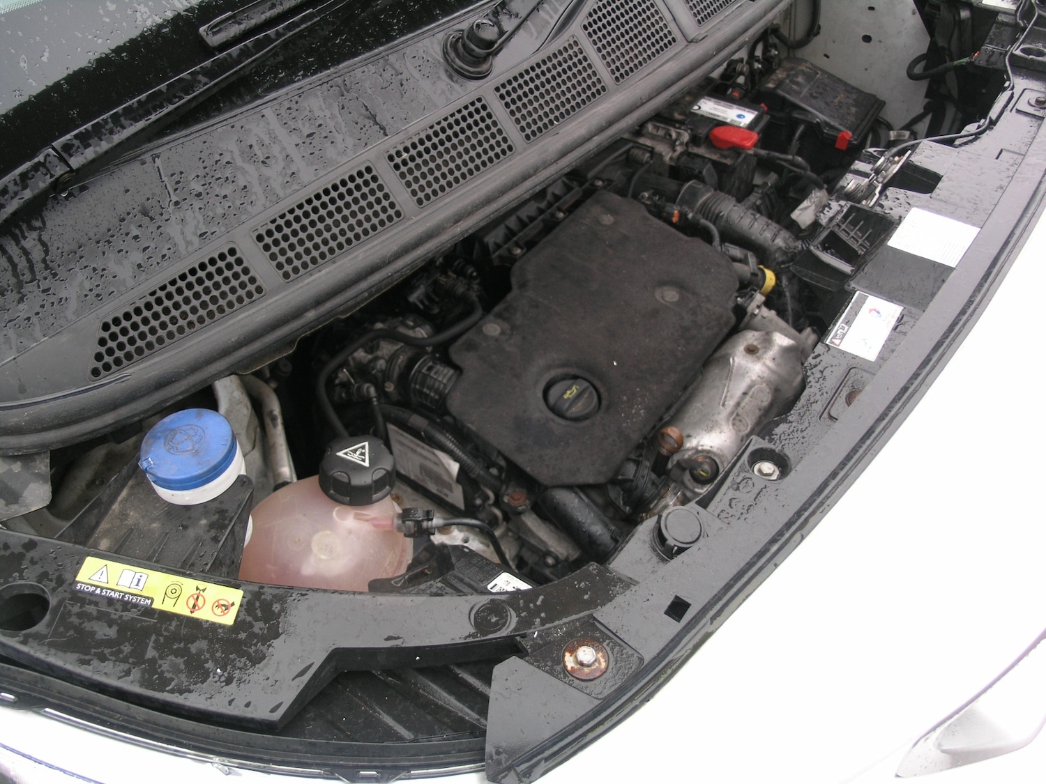 Used Peugeot Expert 2019 for sale - 77170612: Photo 20