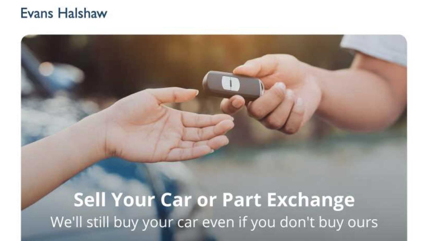 Used Ford Focus 2019 for sale - 76063262: Photo 33