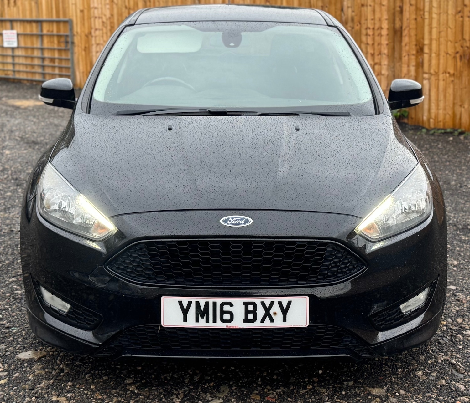 Used Ford Focus 2016 for sale - 76560207: Photo 3