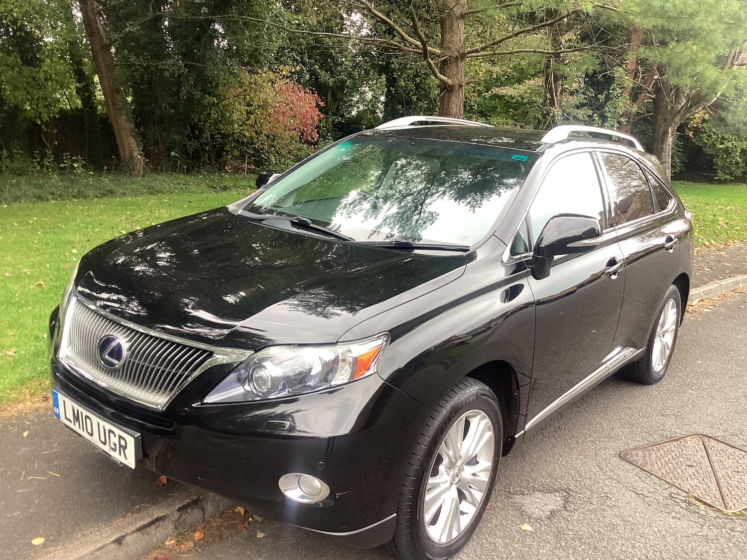 Used Lexus RX 2010 for sale - 76311047: Photo 1