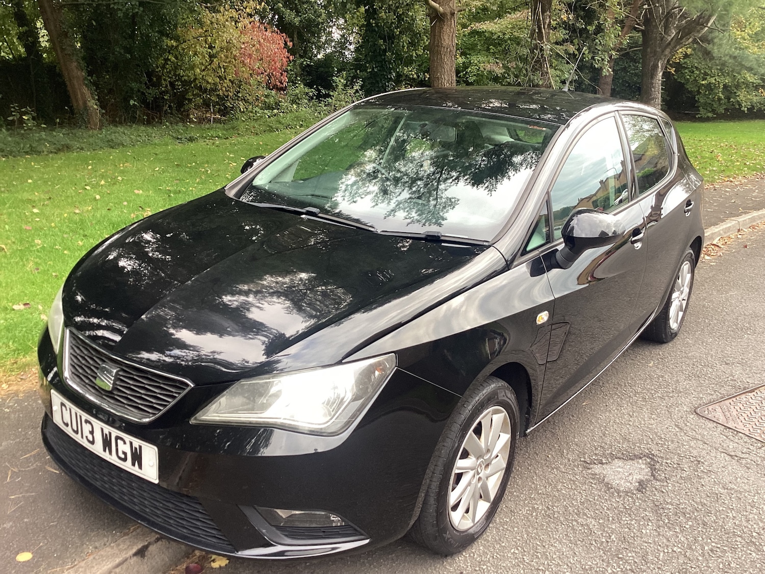 Used SEAT Ibiza 2013 for sale - 76309795: Photo 1
