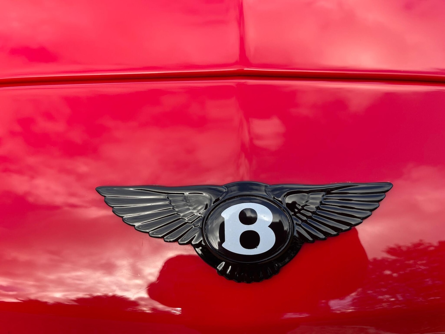 Used Bentley Continental for sale - 77739316: Photo 12