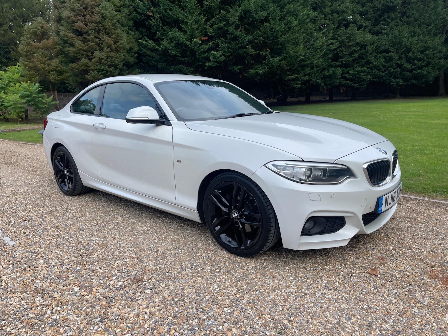 Used BMW 2 Series 2016 for sale - 77739321: Photo 1