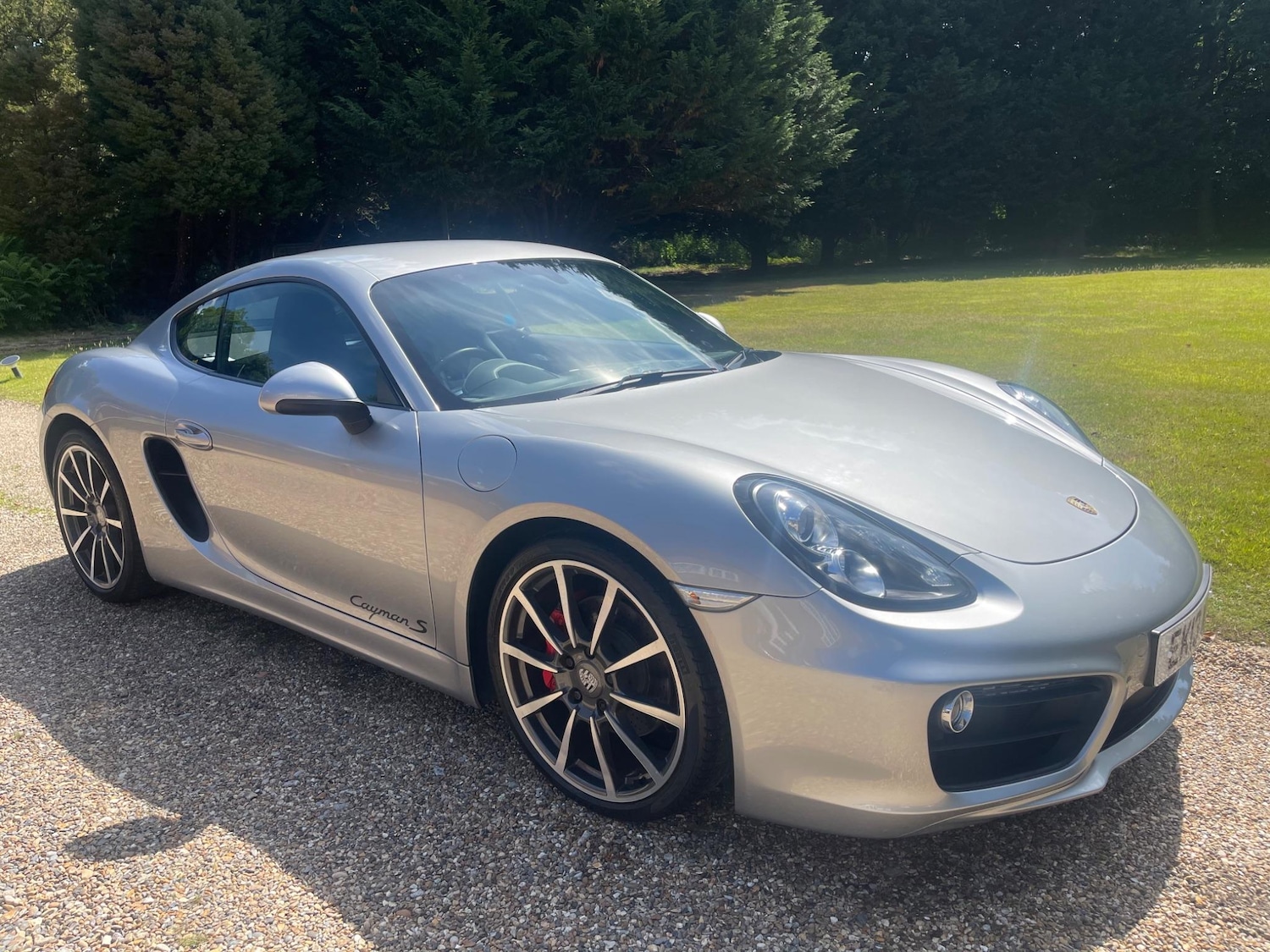 Used Porsche Cayman 2013 for sale - 77739311: Photo 1