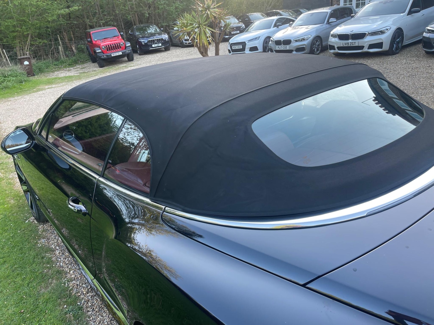 Used Bentley Continental for sale - 77739319: Photo 44