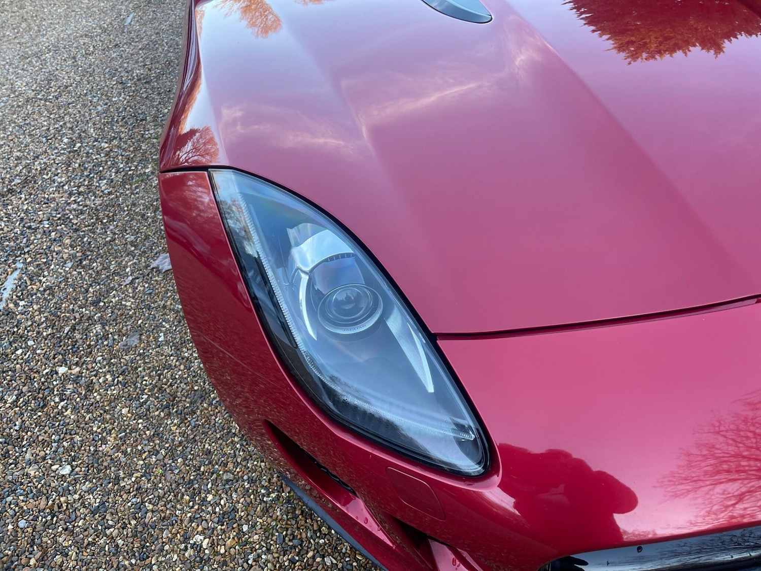 Used Jaguar F-Type 2014 for sale - 77739332: Photo 31