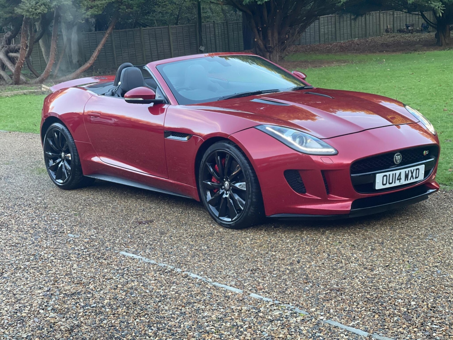Used Jaguar F-Type 2014 for sale - 78162985: Photo 1