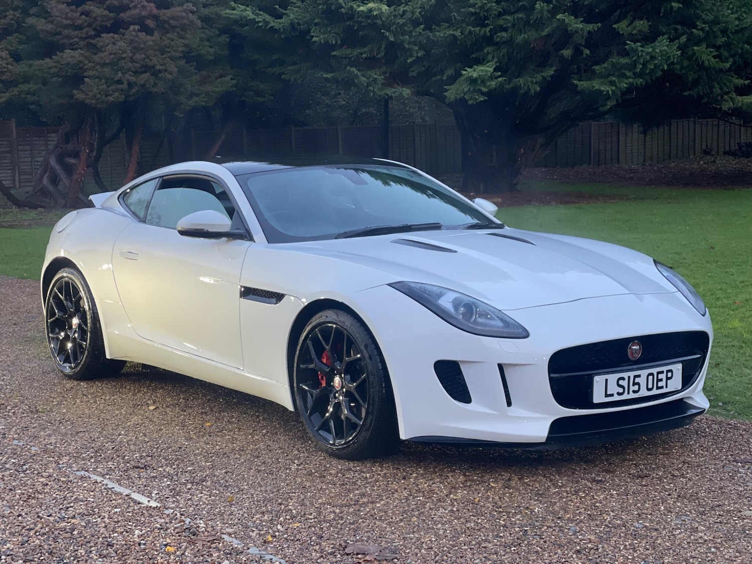 Used Jaguar F-Type 2015 for sale - 77739322: Photo 12