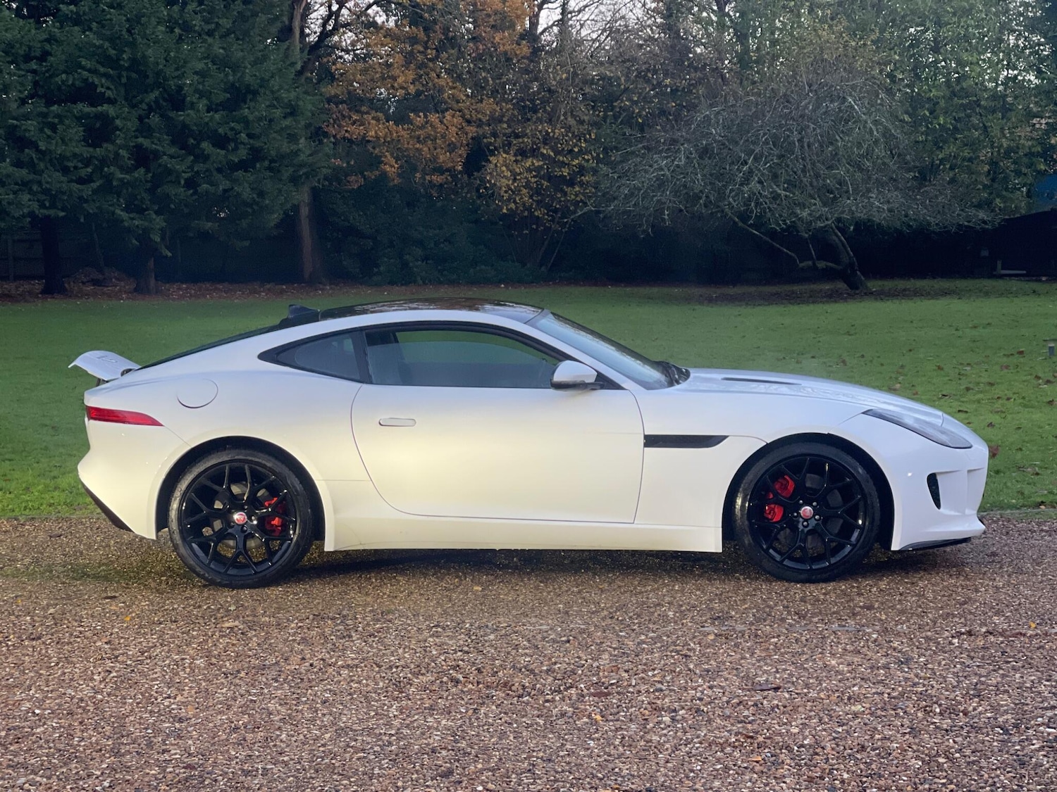 Used Jaguar F-Type 2015 for sale - 77739322: Photo 14