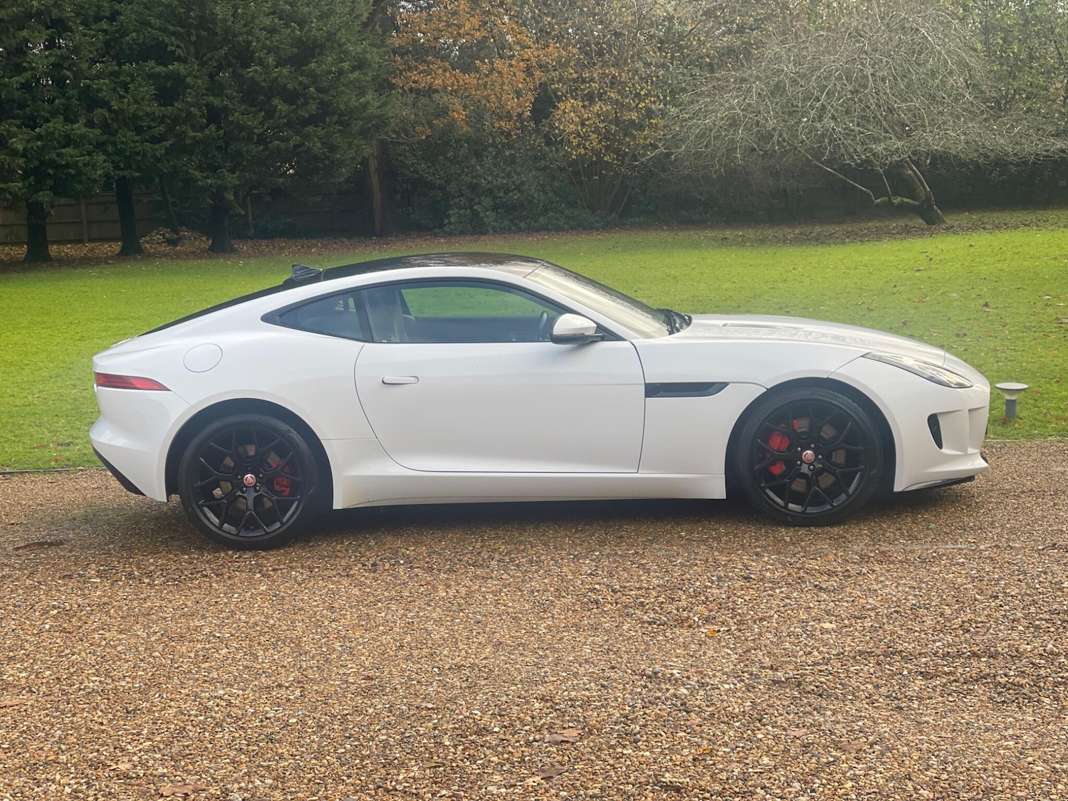 Used Jaguar F-Type 2015 for sale - 77739322: Photo 3