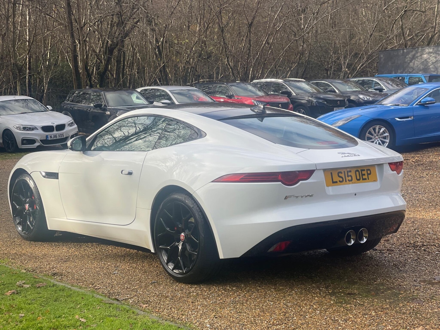 Used Jaguar F-Type 2015 for sale - 77739322: Photo 5