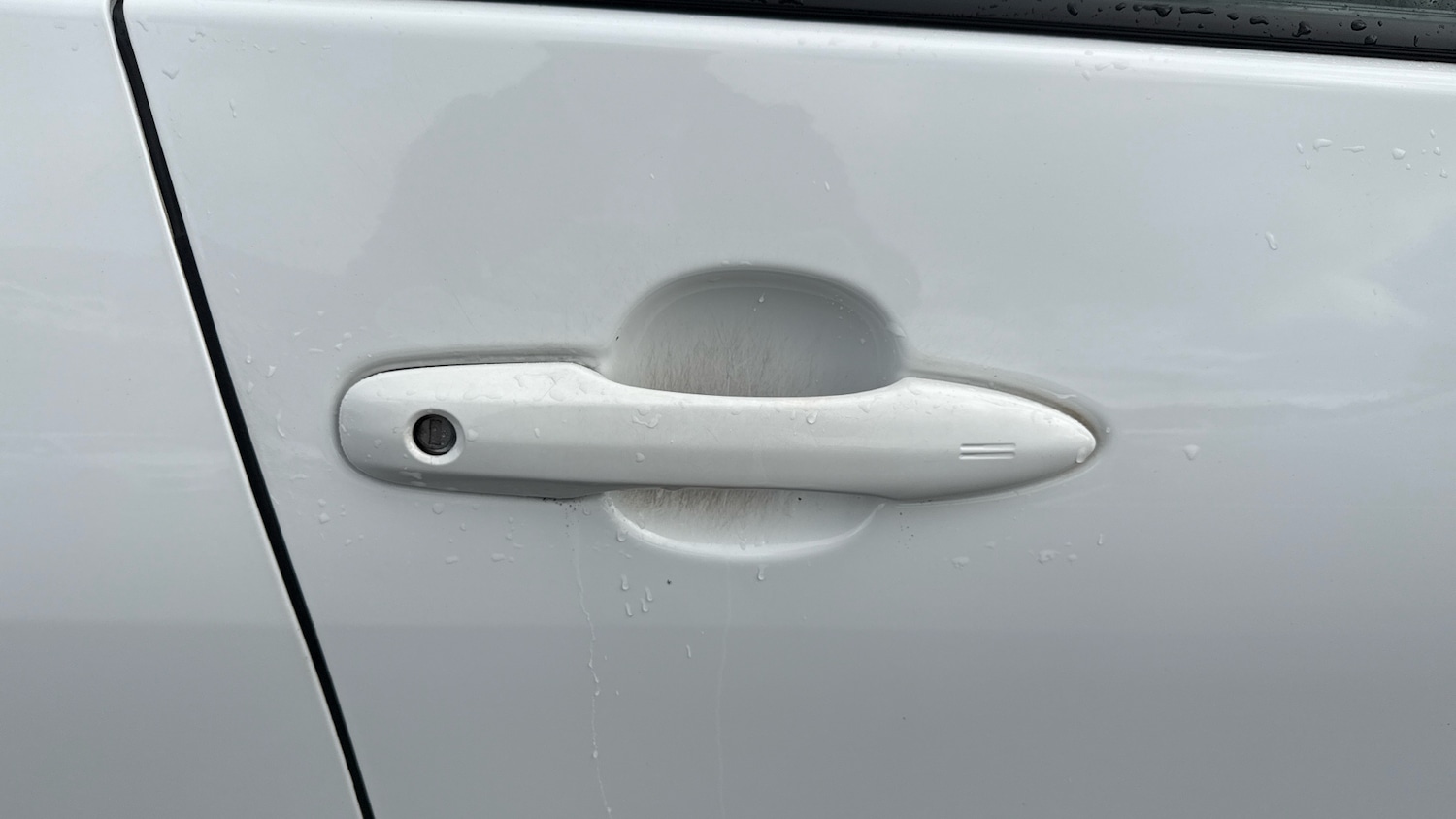 Used Toyota Prius 2019 for sale - 76896867: Photo 25