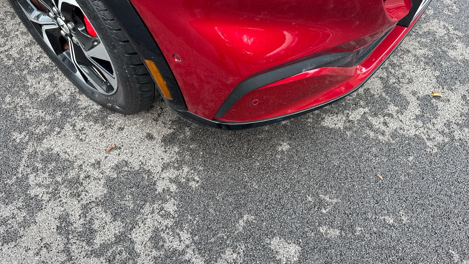 Used Ford Mustang Mach-E 2021 for sale - 76198035: Photo 24