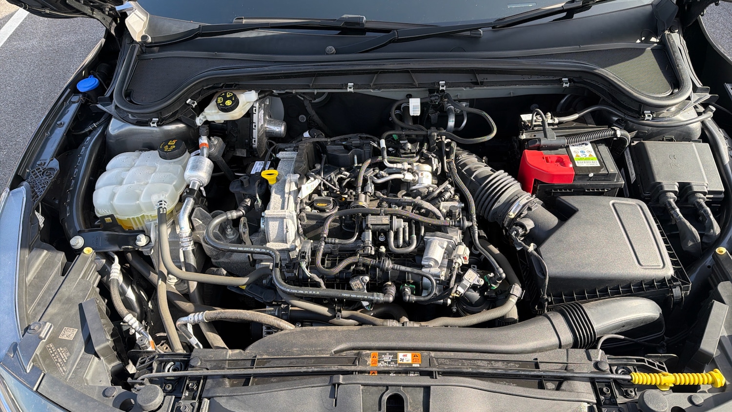 Used Ford Focus 2023 for sale - 78084298: Photo 16