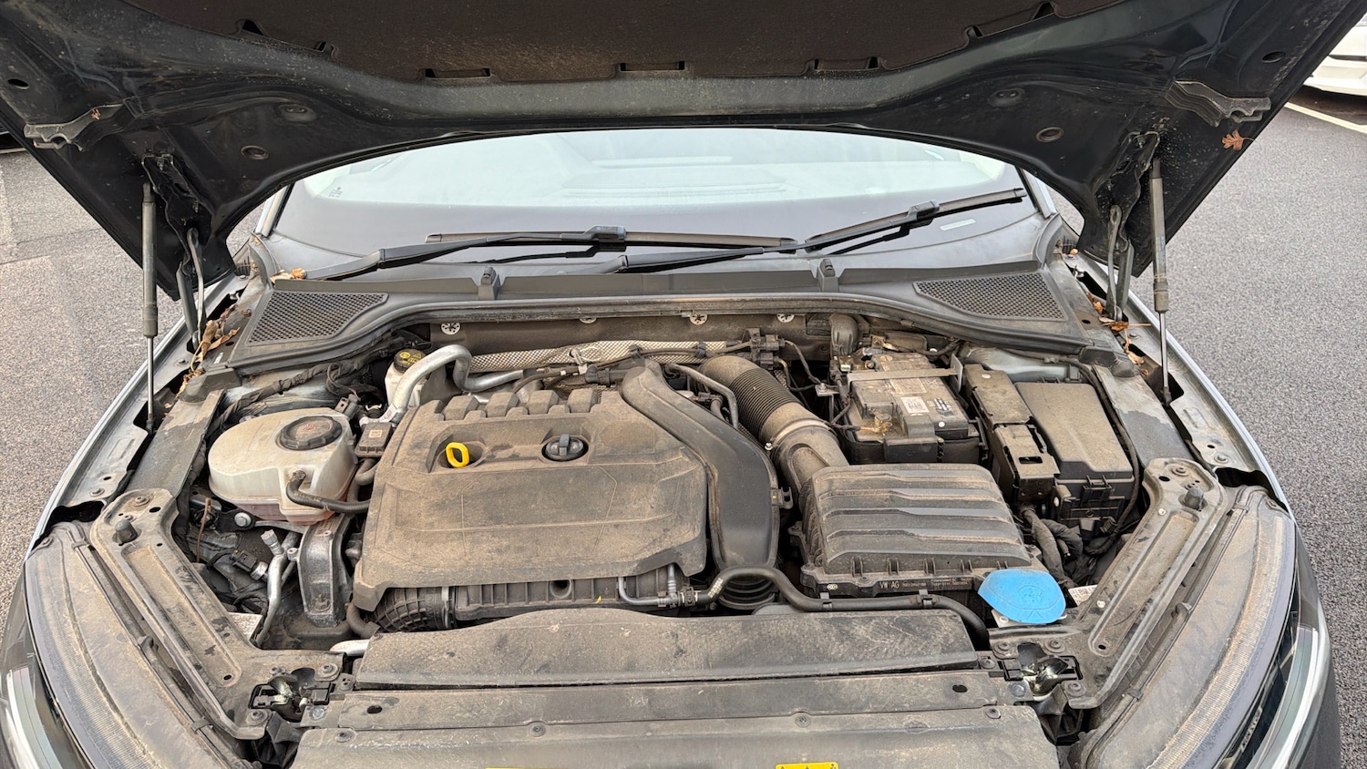 Used Skoda Octavia 2020 for sale - 77251126: Photo 16