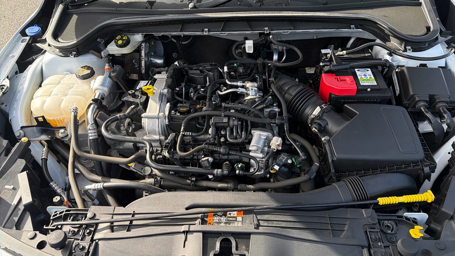 Used Ford Focus 2023 for sale - 77851089: Photo 16