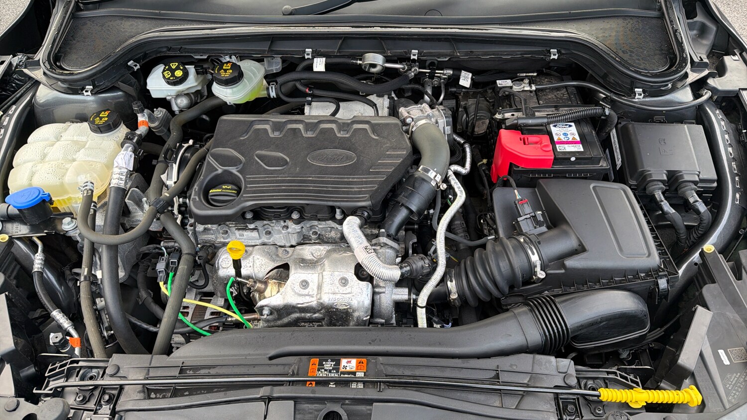 Used Ford Focus 2022 for sale - 77494643: Photo 16