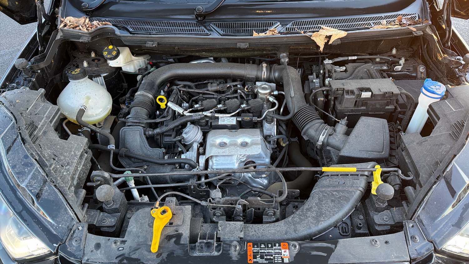 Used Ford Ecosport 2022 for sale - 77107528: Photo 16