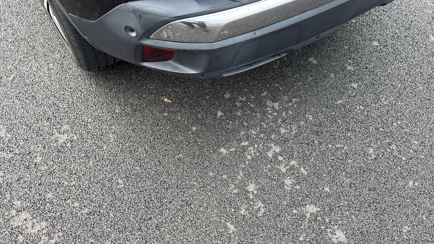 Used Peugeot 3008 2019 for sale - 76482793: Photo 22