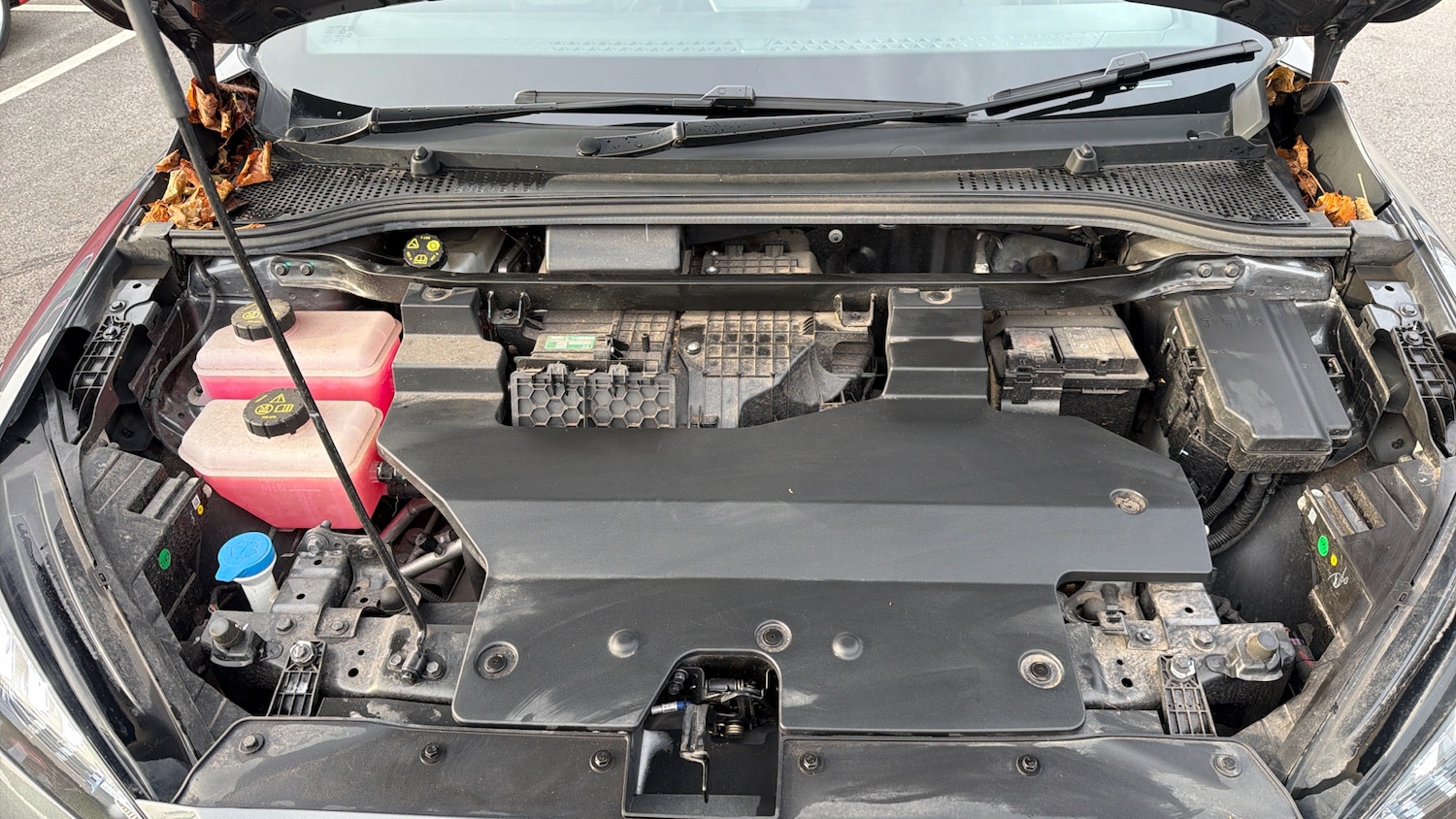 Used MG MG4 2023 for sale - 77990409: Photo 16