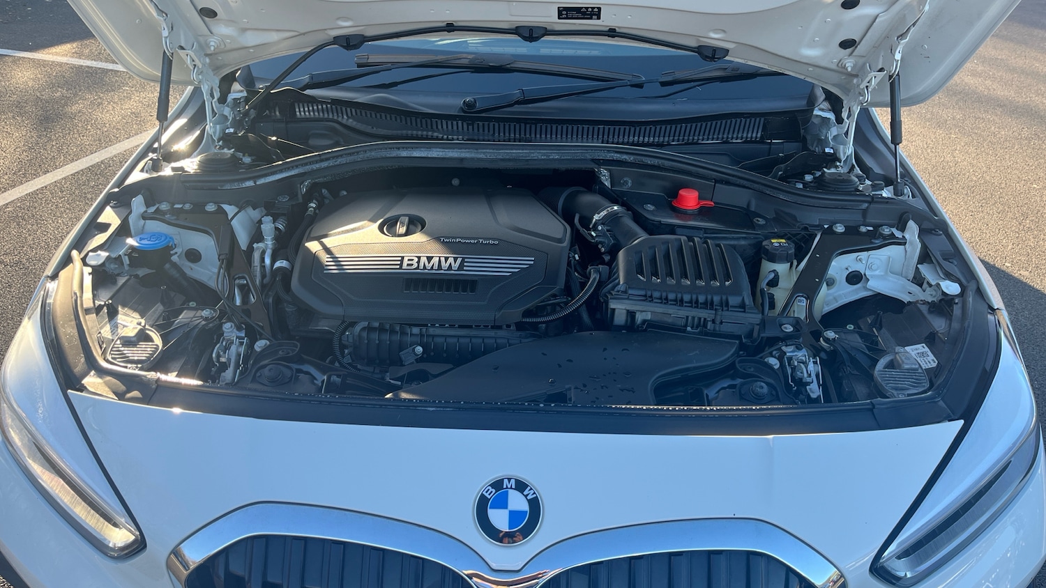 Used BMW 1 Series 2019 for sale - 76618458: Photo 16