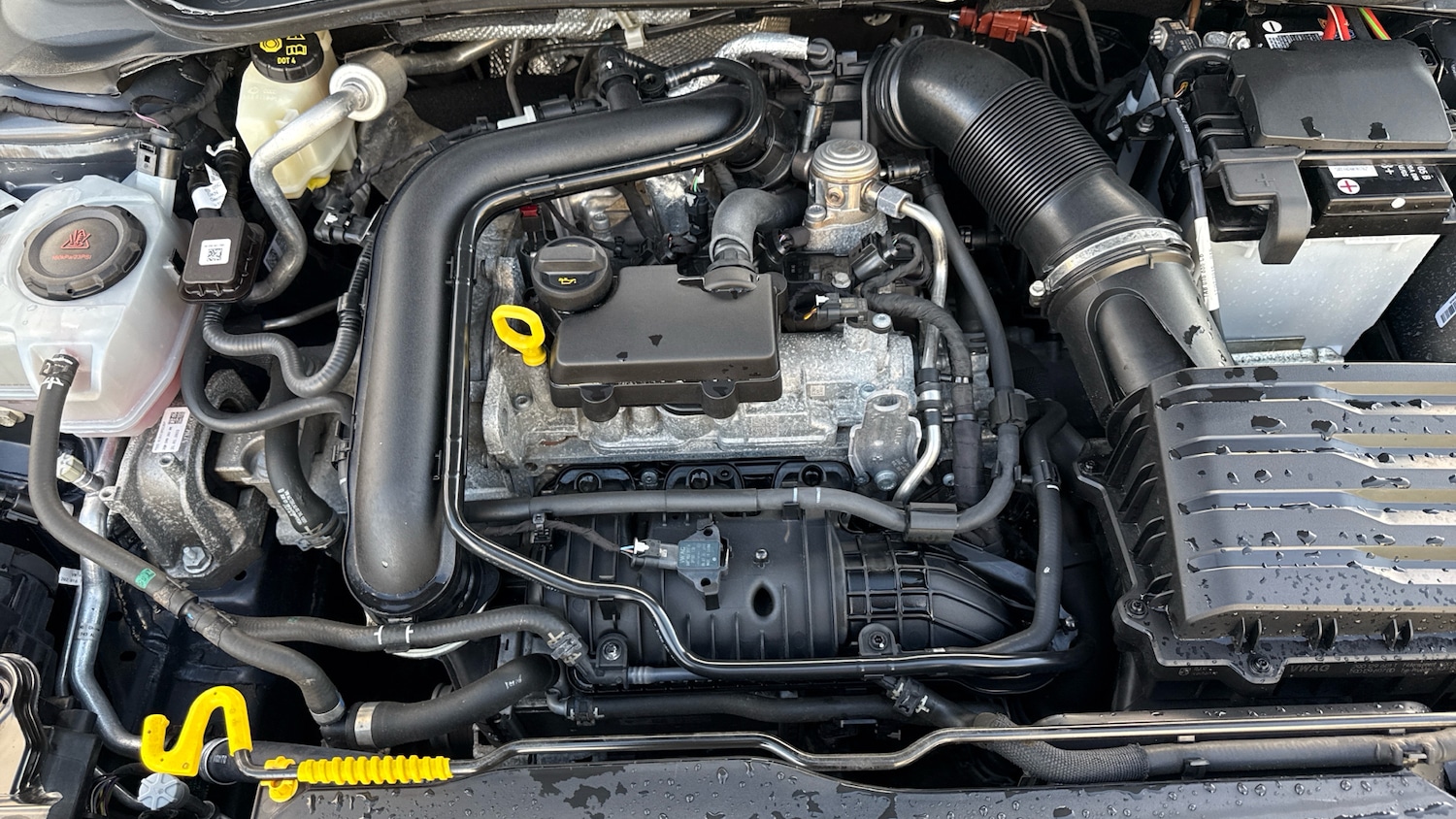 Used Volkswagen Polo for sale - 76418459: Photo 16