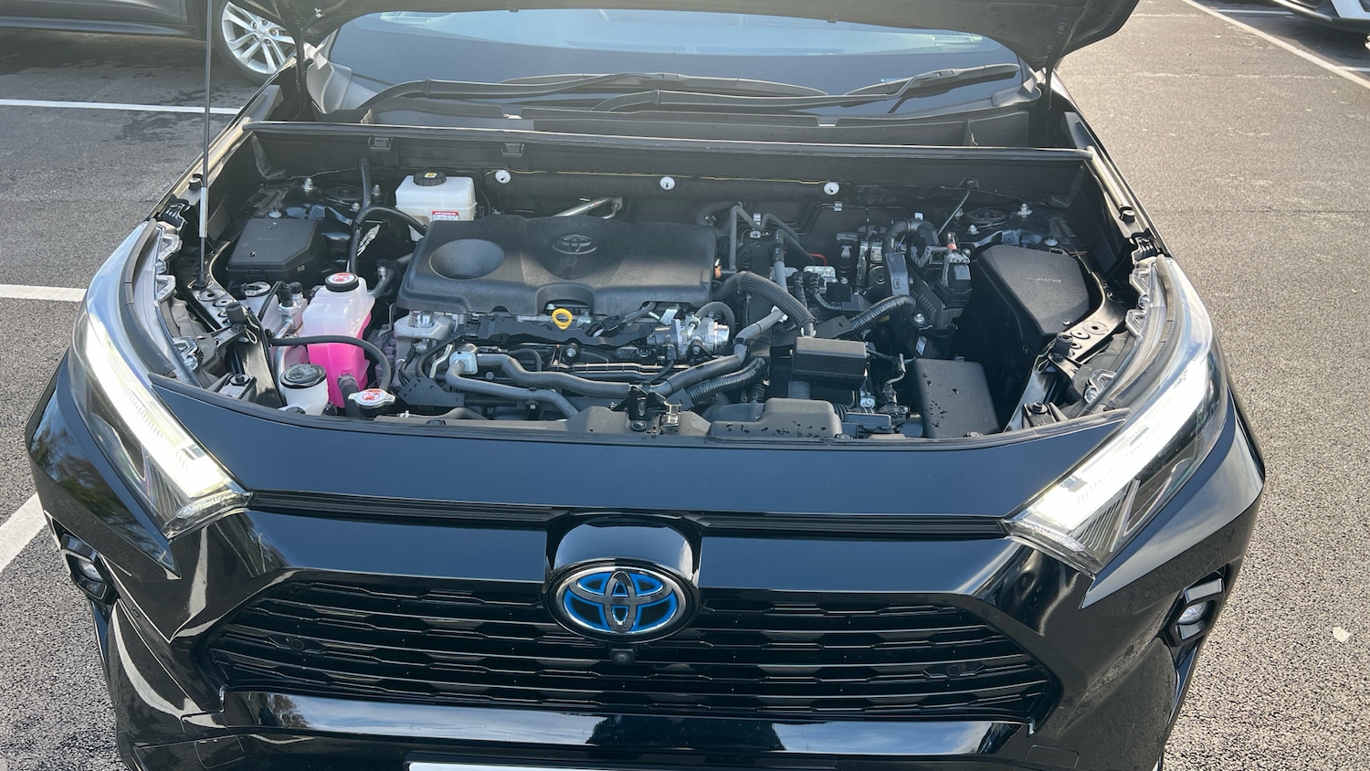 Used Toyota RAV4 2022 for sale - 76368809: Photo 16