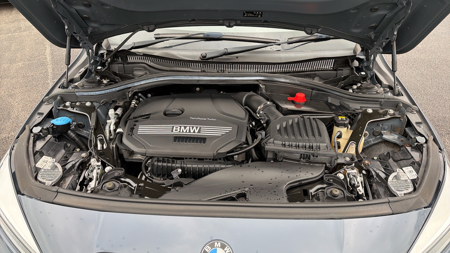 Used BMW 1 Series 2020 for sale - 77508673: Photo 16