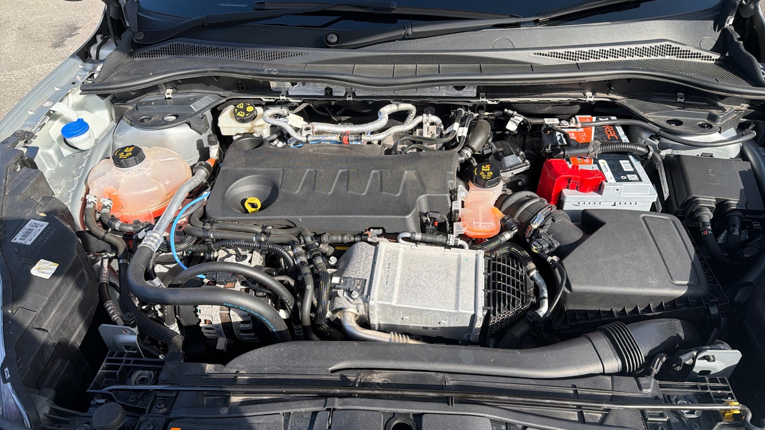 Used Ford Kuga for sale - 77851053: Photo 16