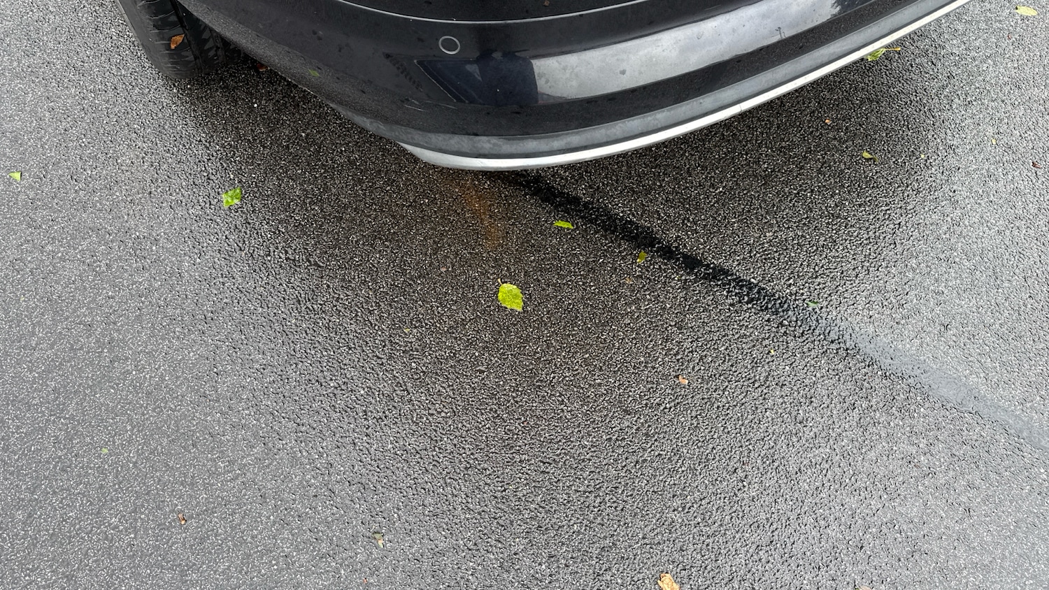 Used Skoda Kodiaq 2021 for sale - 75925332: Photo 21