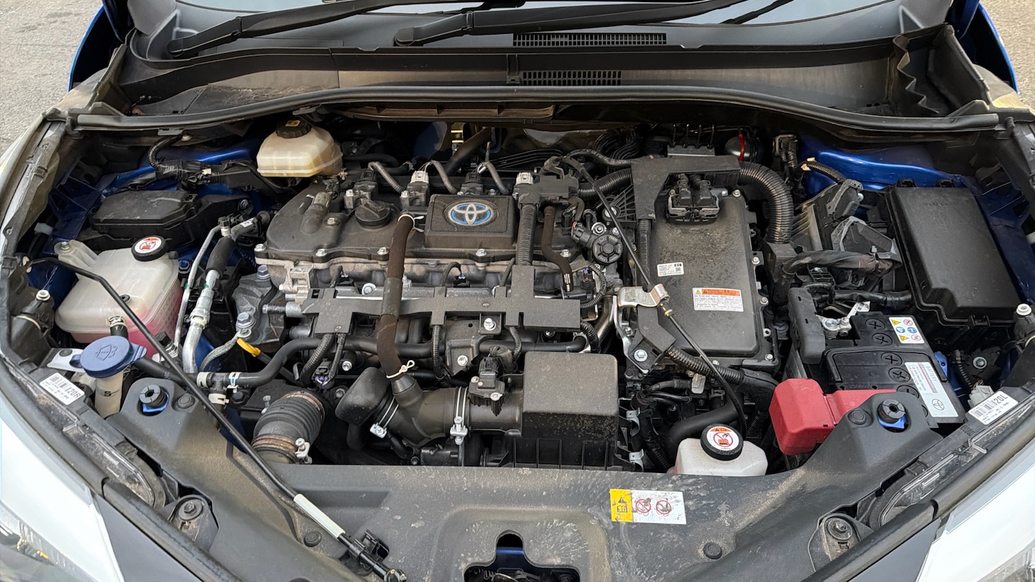 Used Toyota C-HR 2021 for sale - 77251128: Photo 16