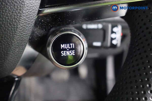 Used Renault Scenic E-Tech 2024 for sale - 76298142: Photo 22