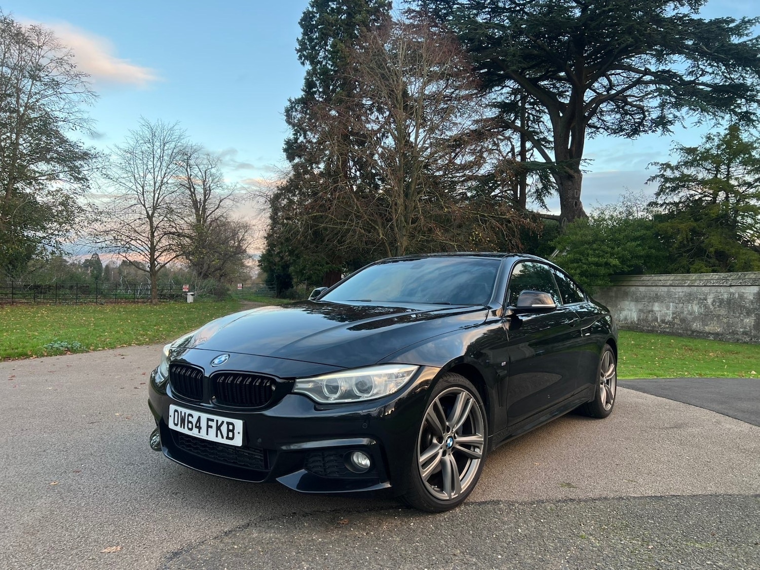 Used BMW 4 Series 2015 for sale - 76862027: Photo 11