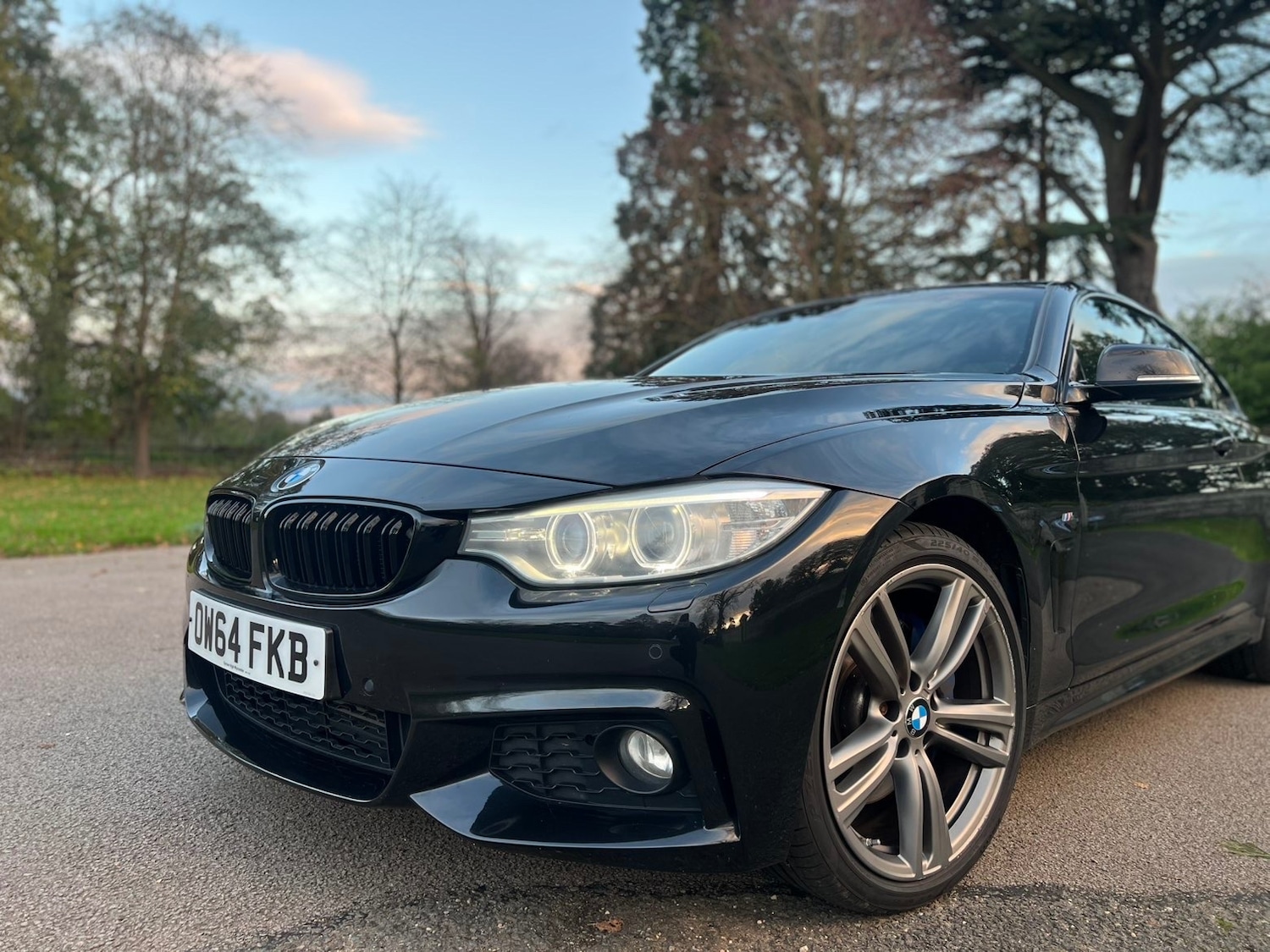 Used BMW 4 Series 2015 for sale - 76862027: Photo 12